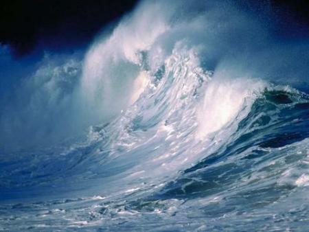 Le tsunami : la vague meurtri�re qui a mis le monde en deuil